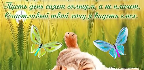 Поздравления С Добрым Утром Со Стихами