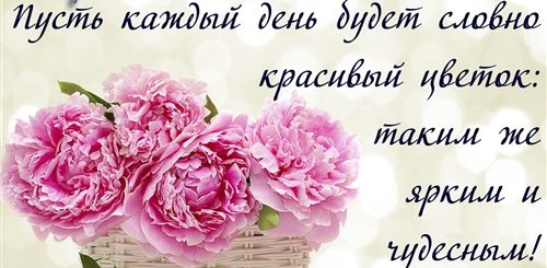Поздравления С Хорошим Днем Текст