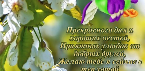 Поздравления С Пожеланием Доброго Дня