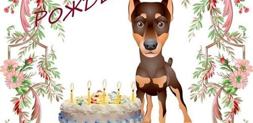 Поздравления Собаке С Днем Рождения Открытки