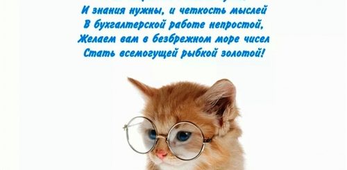 Поздравления В Стихах Главному Бухгалтеру