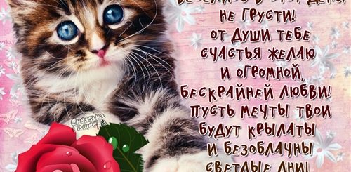 Пожалуйста Поздравления На День Рождения