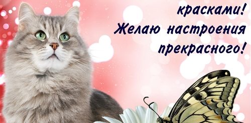 Приятно Получить Поздравление
