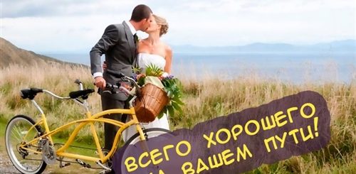 Прикольное Поздравление С Годовщиной Свадьбы Фото