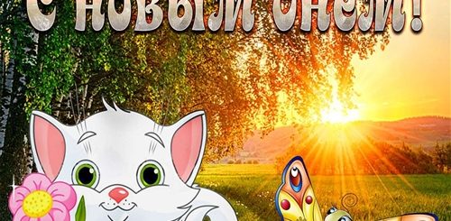Ролики Поздравления С Добрым Утром