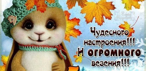 С 1 Ноября 2021 Поздравления