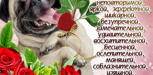 Скачать Классное Поздравление Женщины