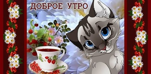 Скачать Музыкальное Видео Поздравление С Добрым Утром