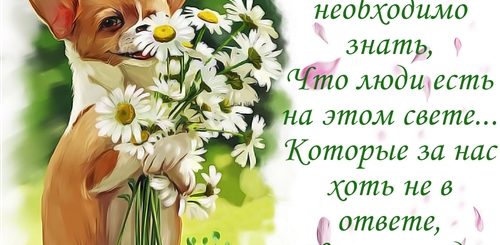 Скачать Открытки Для Поздравления Одноклассников