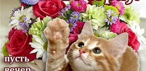 Скачать Поздравления С Хорошим Вечером