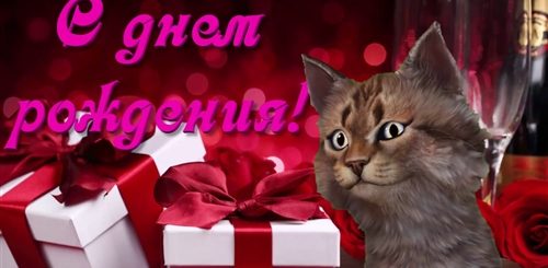 Скачать Видео Поздравление С Др