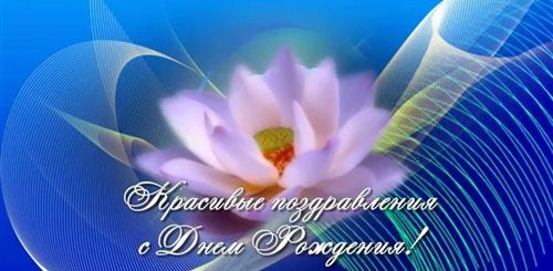 Скачать Видео Пожелания Бесплатно Поздравления