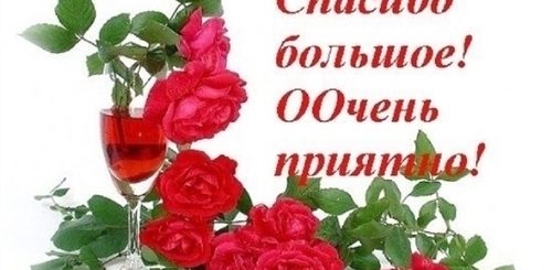 Спасибо Большое За Поздравление Мужчине