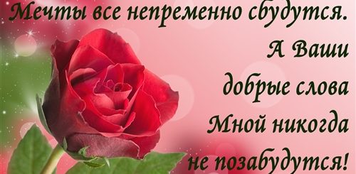 Спасибо За Поздравления Любимый Своими Словами