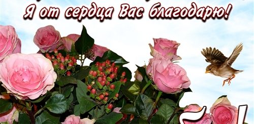 Спасибо За Поздравления Словами Открытка