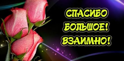 Спасибо За Поздравления Взаимно С Праздником