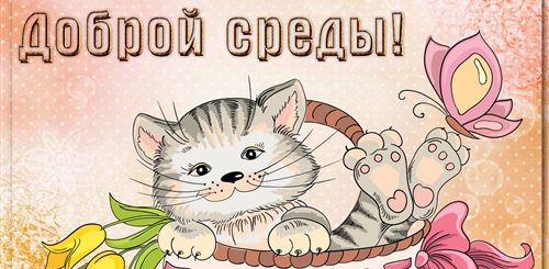 Среда Поздравление С Добрым Утром Прикольные