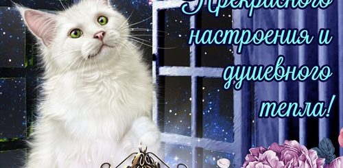 Веселое Поздравление С Добрым Вечером Видео Бесплатно