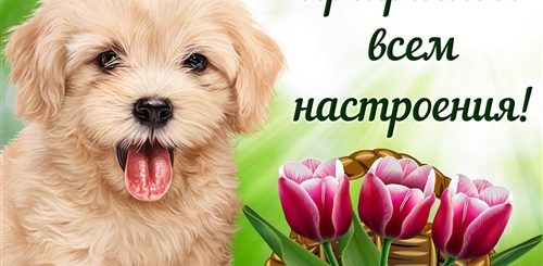 Видео Поздравление С Четвергом Скачать Бесплатно
