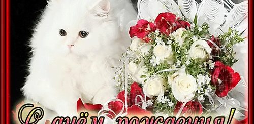 Живые Поздравления С Днем Рождения Девушке